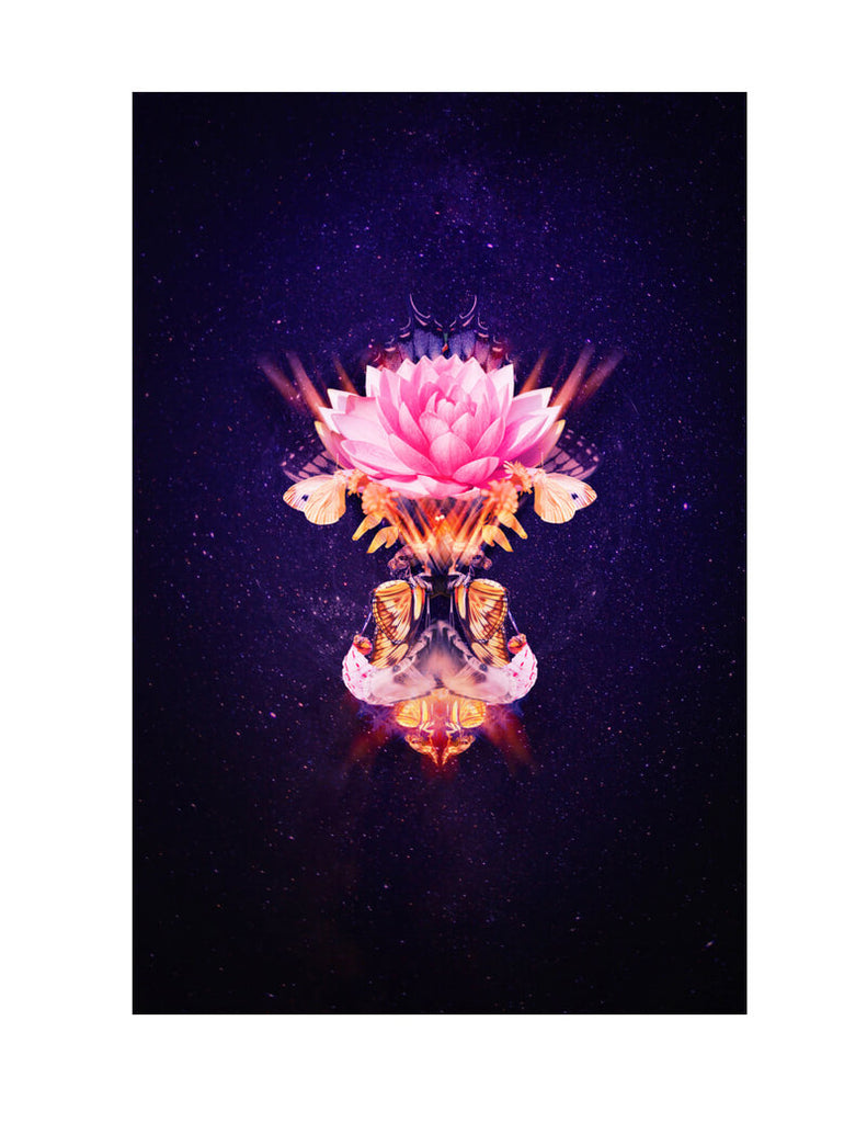 Kunstdruck von Jea Pics, eine rosa Blüte erstrahlt, die Schönheit der Natur als Kunst
