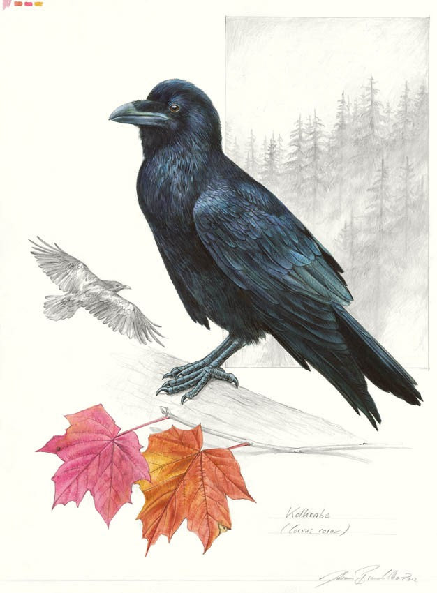 Johann Brandstetter Kunst liebt Mut